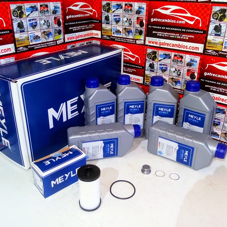 KIT MANTENIMIENTO DSG AUDI A3 8P CAMBIO 02E 0D9 DQ250